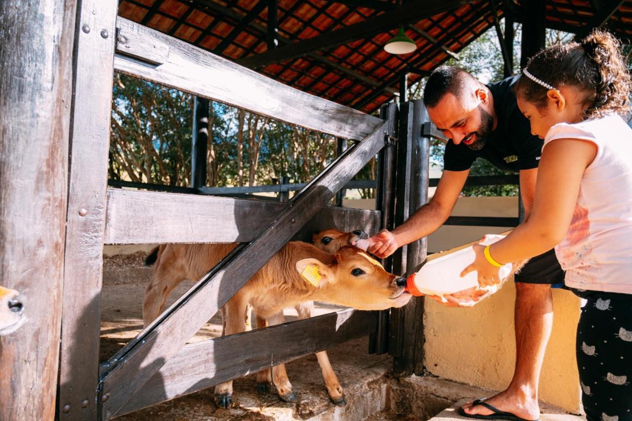 Hotel Fazenda Vale Da Mantiqueira Virginia Luaran gambar